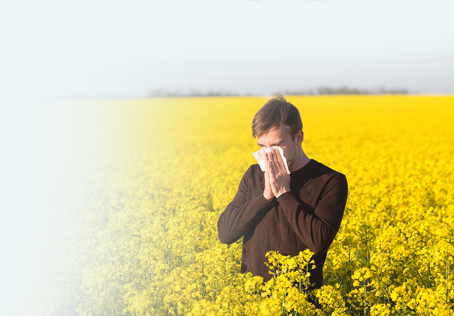 Hay Fever/Allergies Hay Fever/Allergies